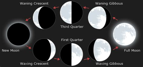 Moon Phase Calculator .